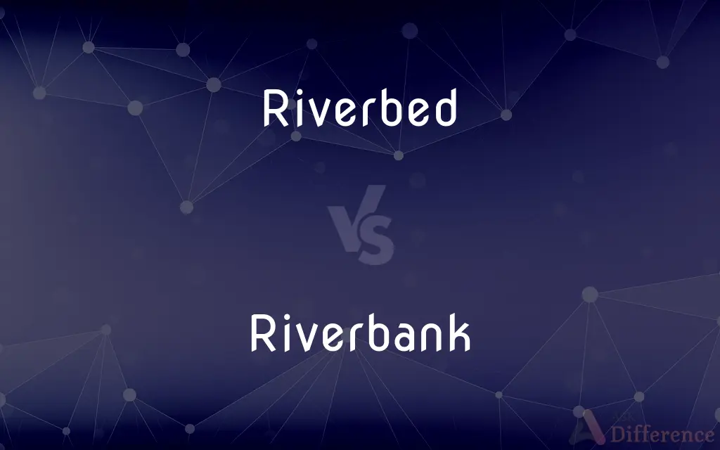 Riverbed vs. Riverbank — What's the Difference?
