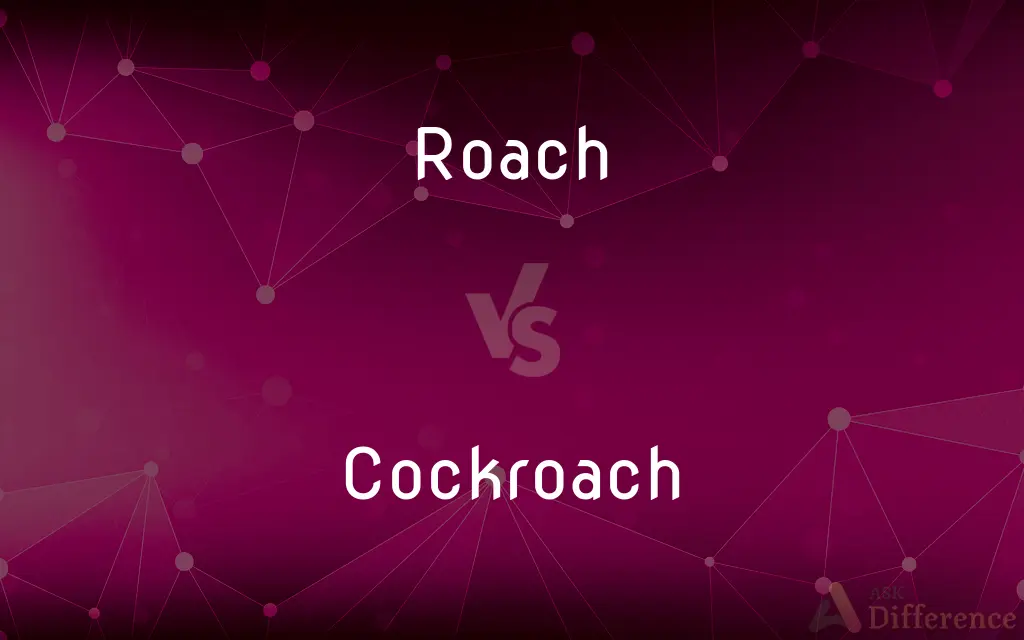 Roach vs. Cockroach — What's the Difference?