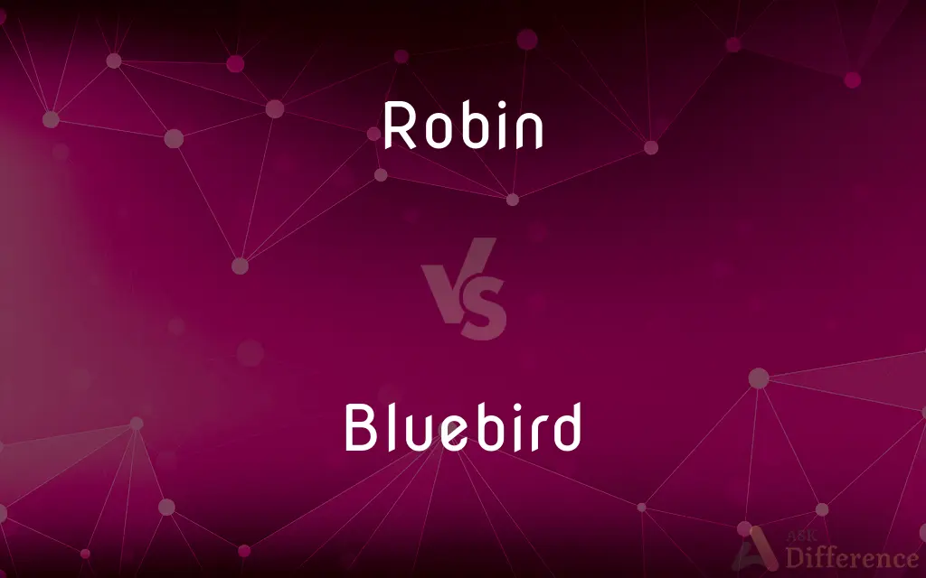 Robin vs. Bluebird — What's the Difference?