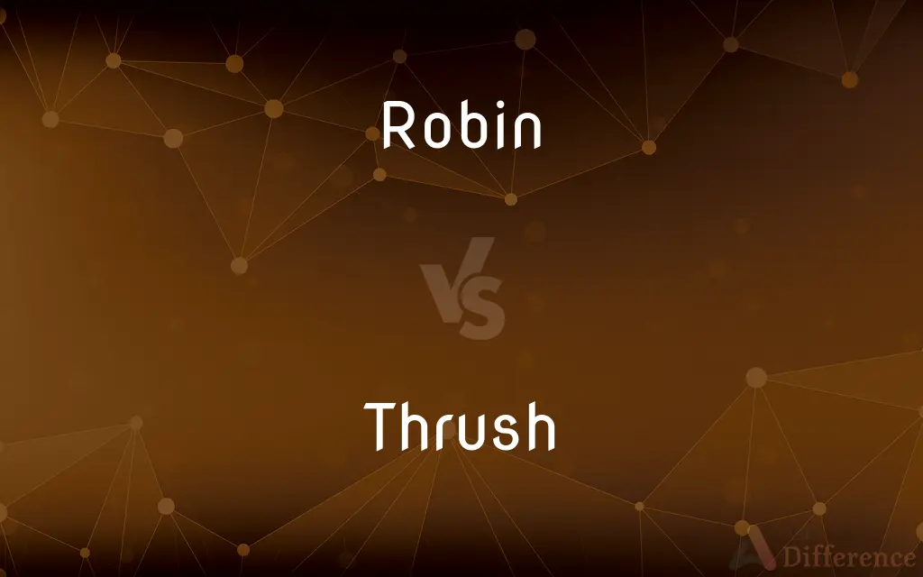Robin vs. Thrush — What's the Difference?