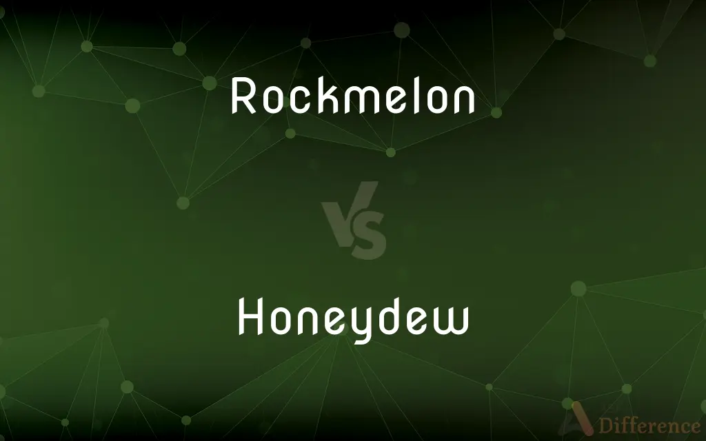 Rockmelon vs. Honeydew — What's the Difference?