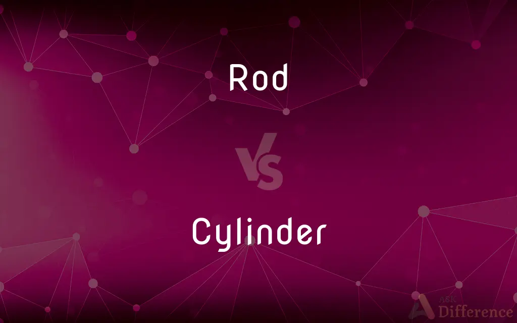 Rod vs. Cylinder — What's the Difference?