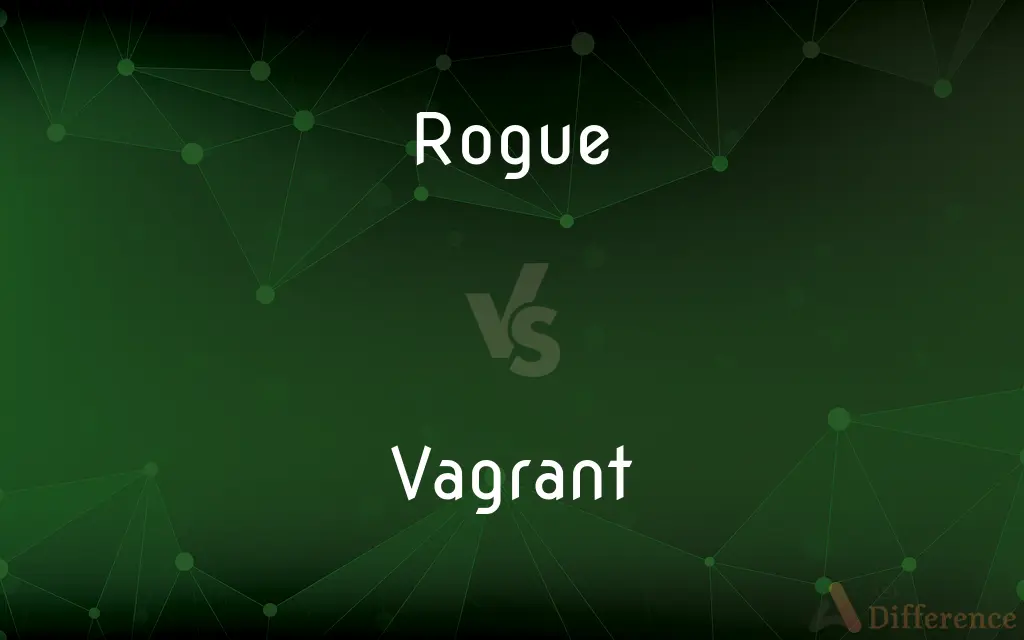 Rogue vs. Vagrant — What's the Difference?