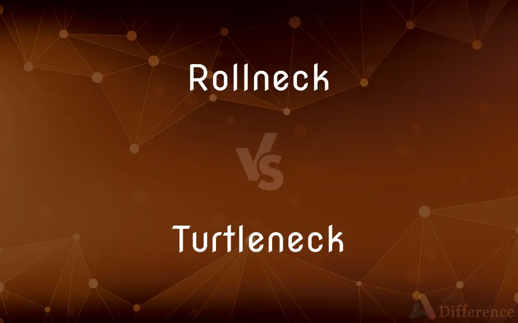 Rollneck vs. Turtleneck — What's the Difference?