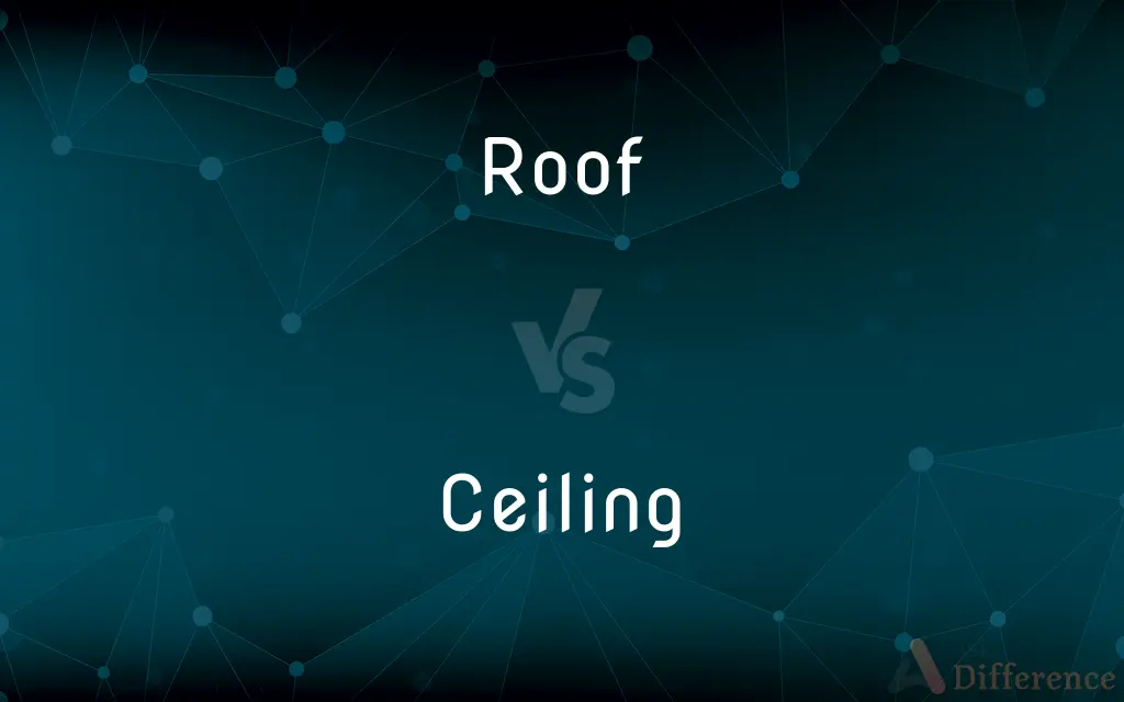 Roof vs. Ceiling — What's the Difference?