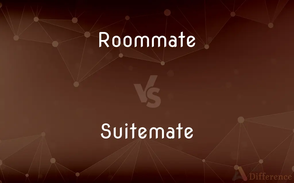 Roommate vs. Suitemate — What's the Difference?