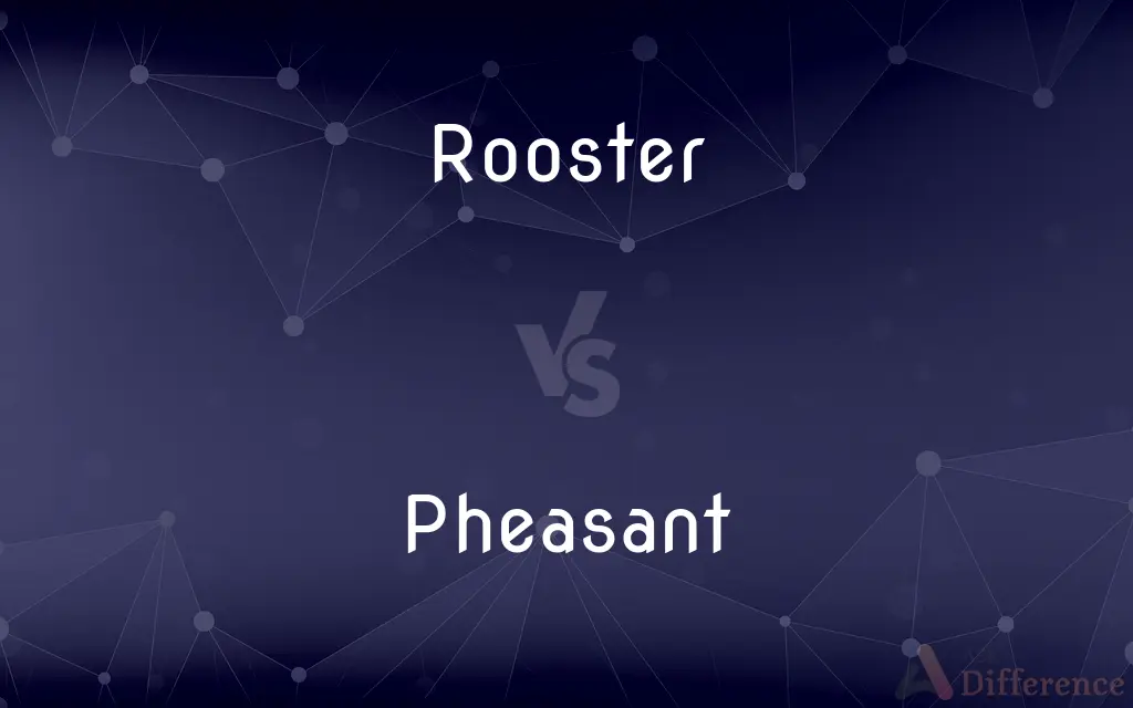 Rooster vs. Pheasant — What's the Difference?