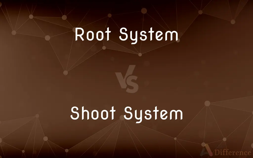 Root System vs. Shoot System — What's the Difference?