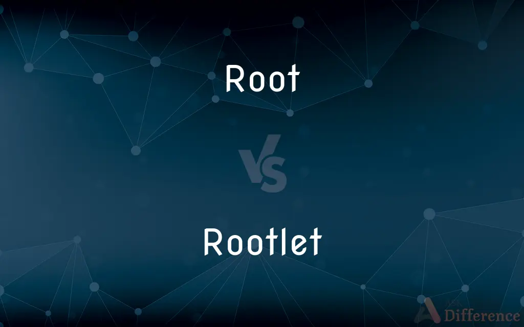 Root vs. Rootlet — What's the Difference?