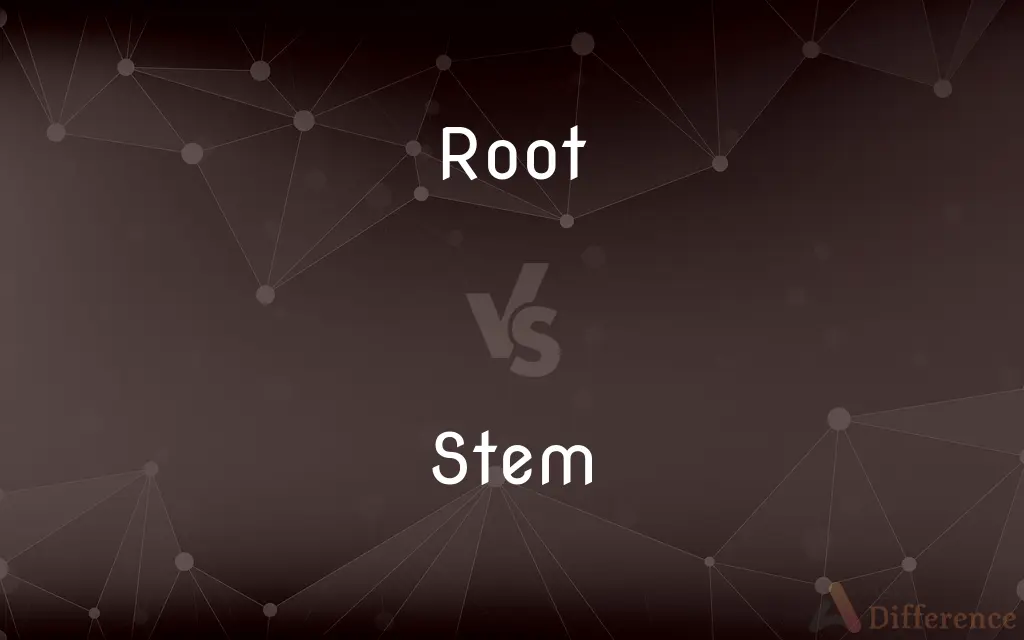 Root vs. Stem — What's the Difference?