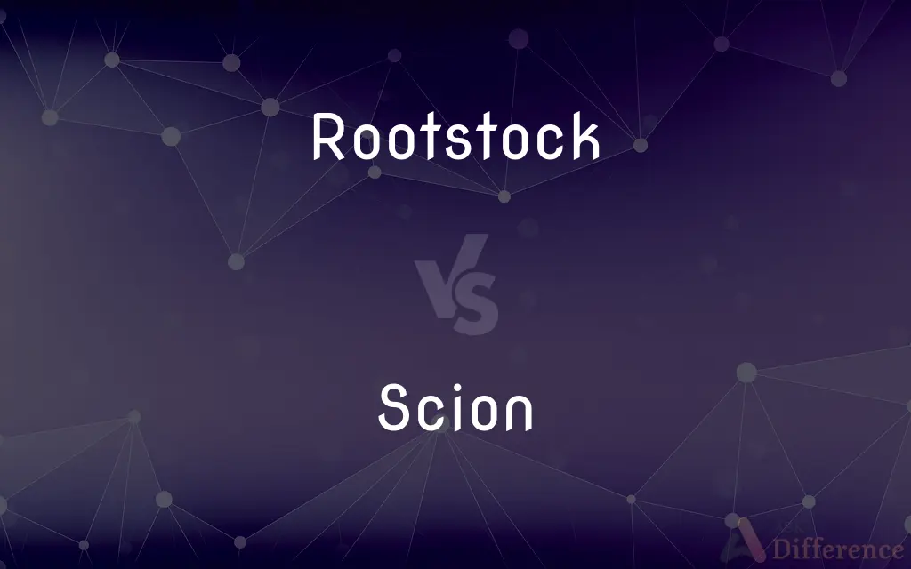 Rootstock vs. Scion — What's the Difference?