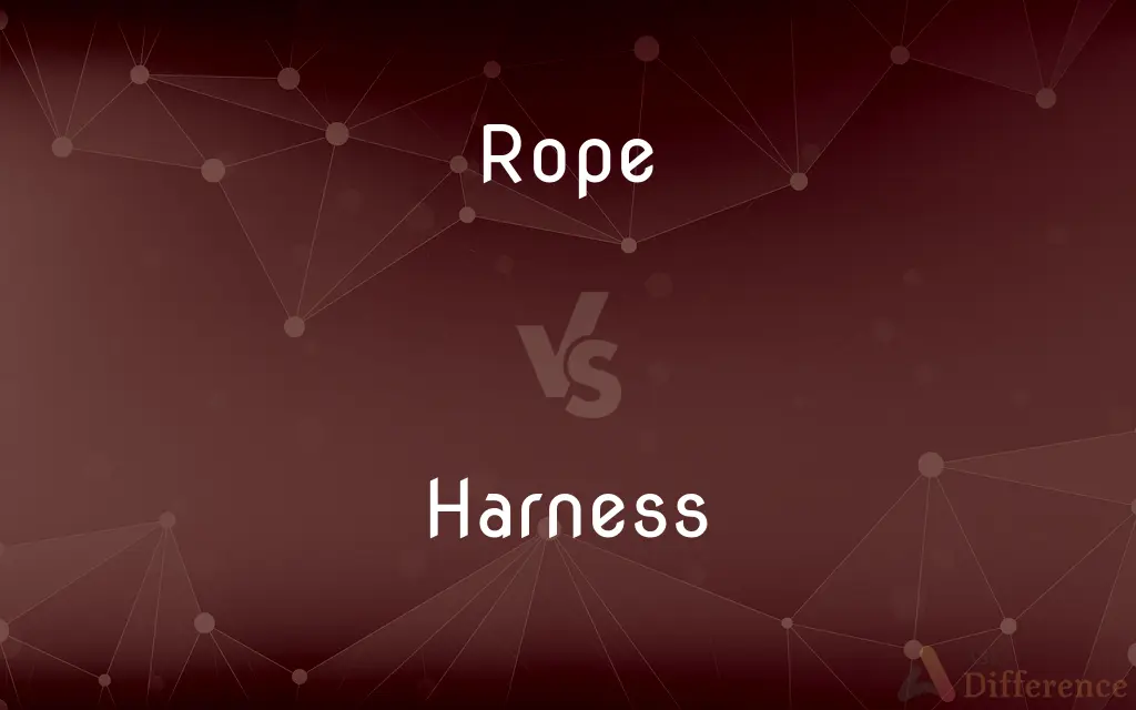 Rope vs. Harness — What's the Difference?