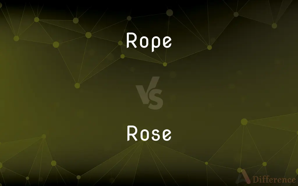 Rope vs. Rose — What's the Difference?