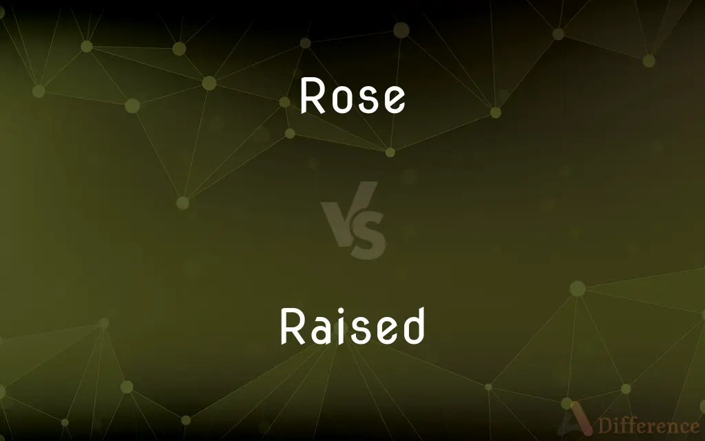 Rose vs. Raised — What's the Difference?
