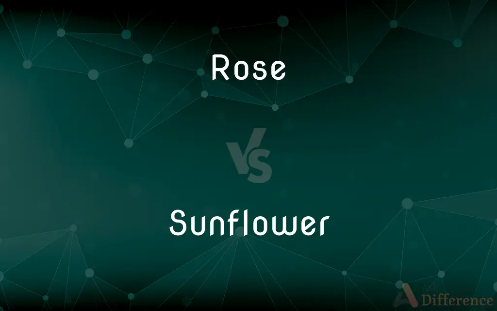 Rose vs. Sunflower — What's the Difference?