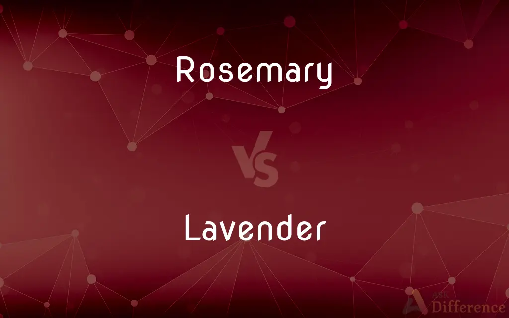 Rosemary vs. Lavender — What's the Difference?