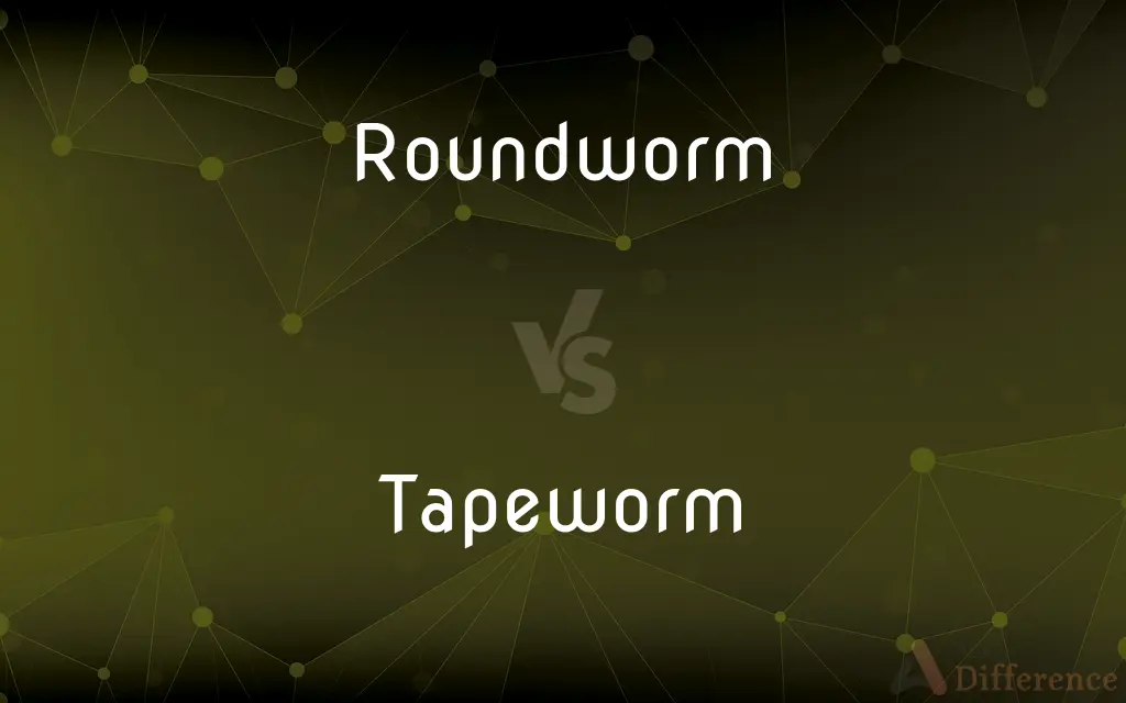 Roundworm vs. Tapeworm — What's the Difference?