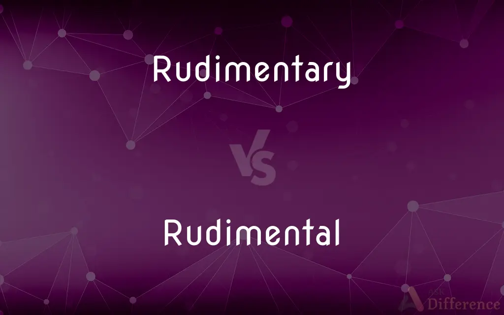Rudimentary vs. Rudimental — Which is Correct Spelling?