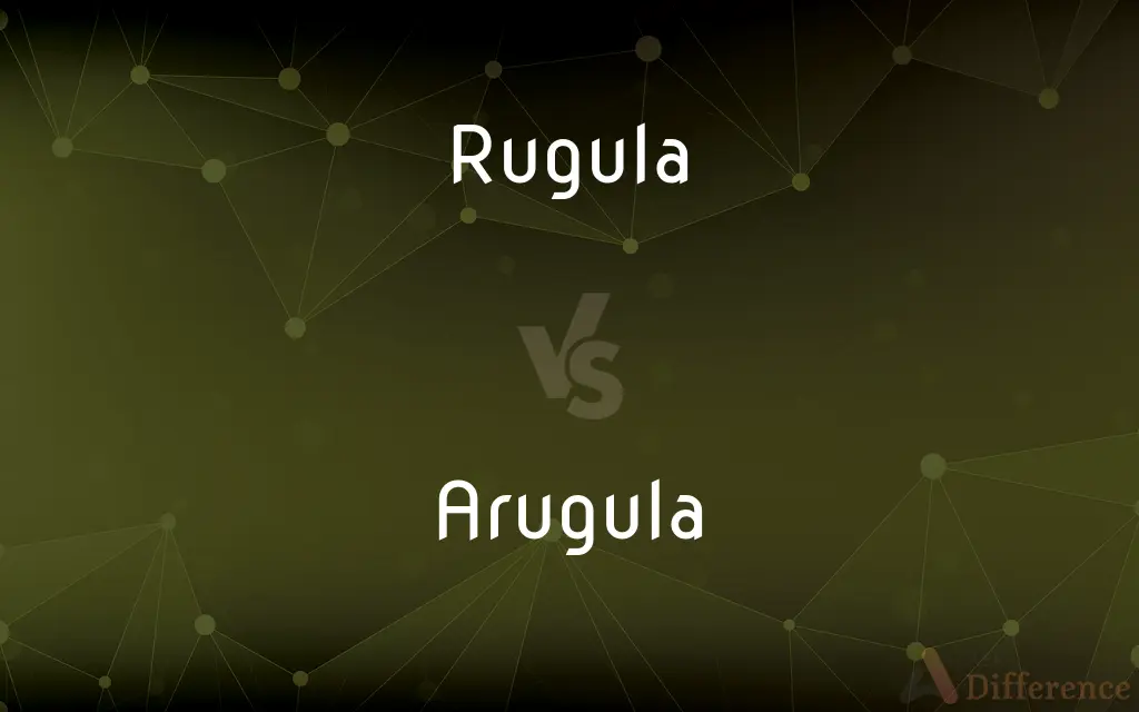 Rugula vs. Arugula — Which is Correct Spelling?