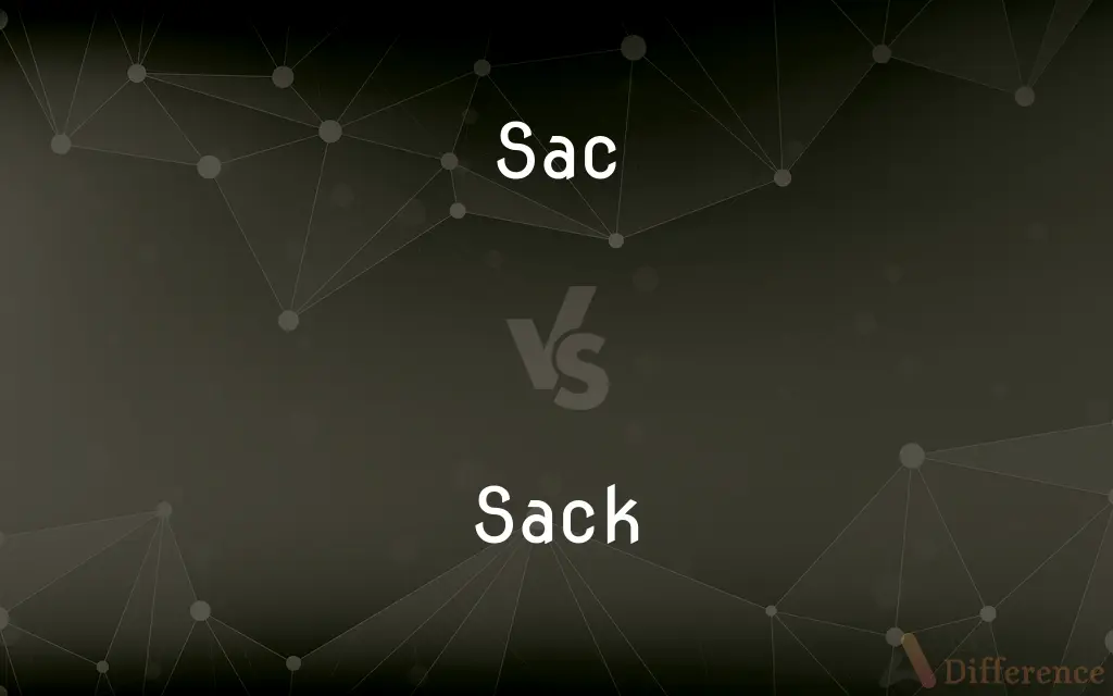 Sac vs. Sack — What's the Difference?