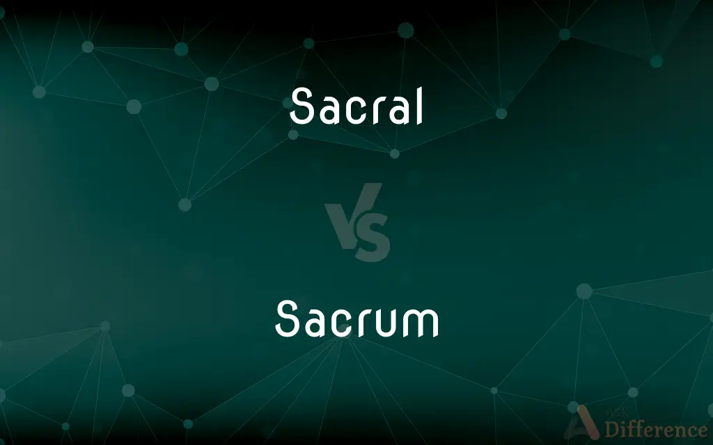 Sacral vs. Sacrum — What's the Difference?