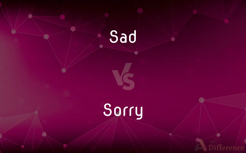 Sad vs. Sorry — What's the Difference?