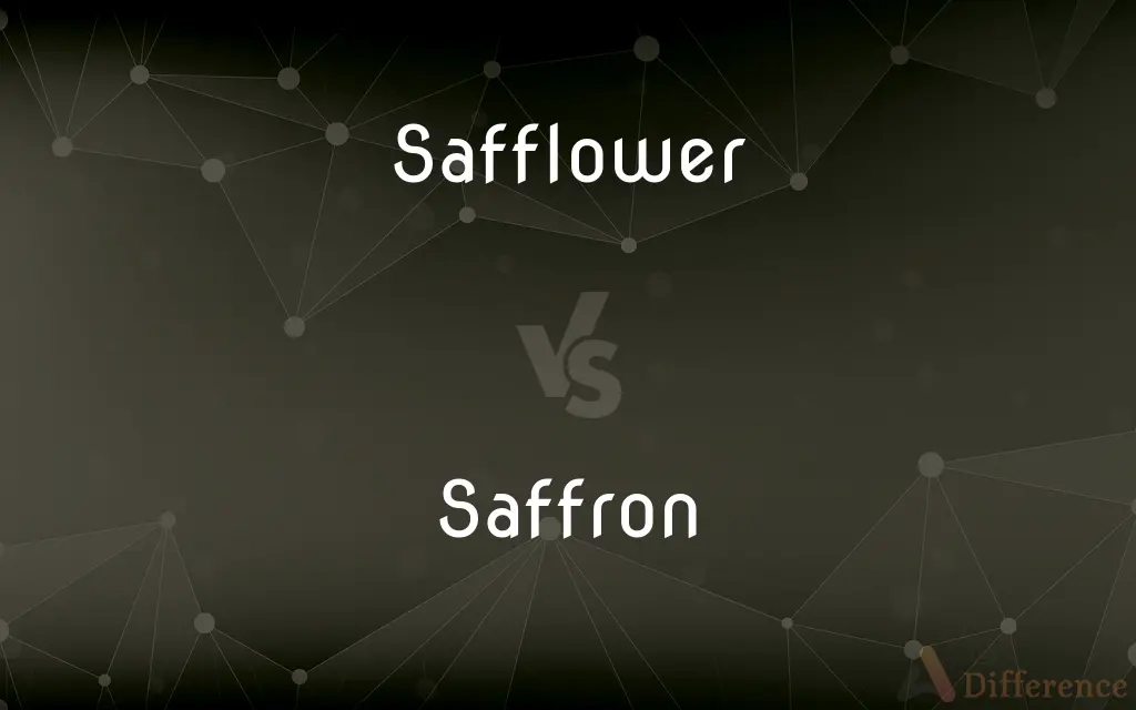 Safflower vs. Saffron — What's the Difference?