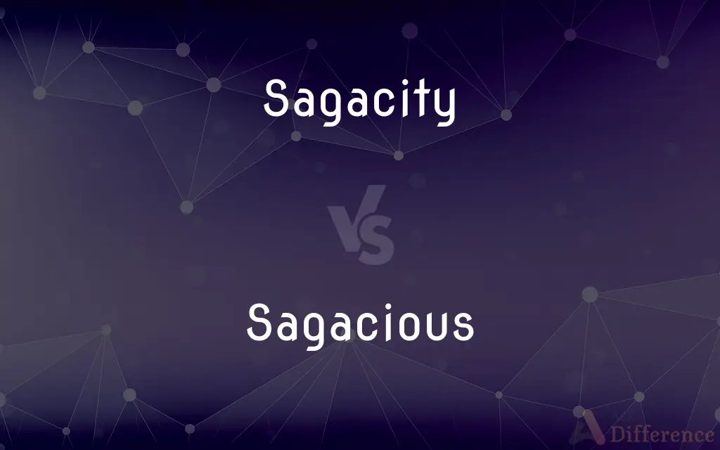 Sagacity vs. Sagacious — What's the Difference?