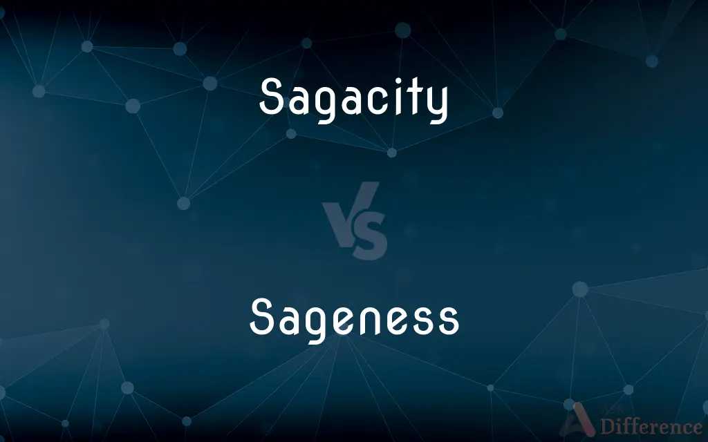 Sagacity vs. Sageness — What's the Difference?