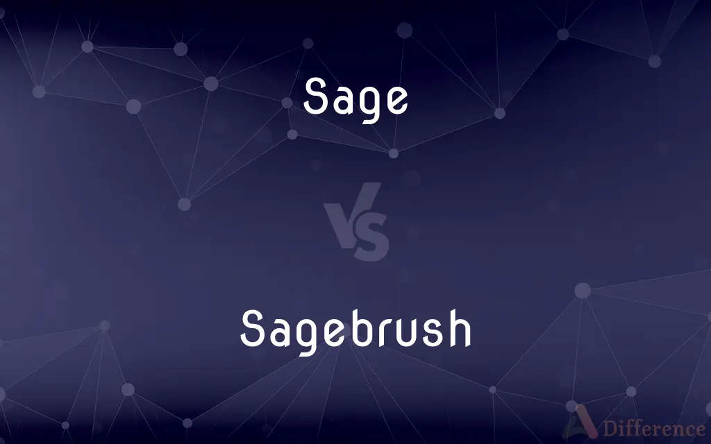 Sage vs. Sagebrush — What's the Difference?
