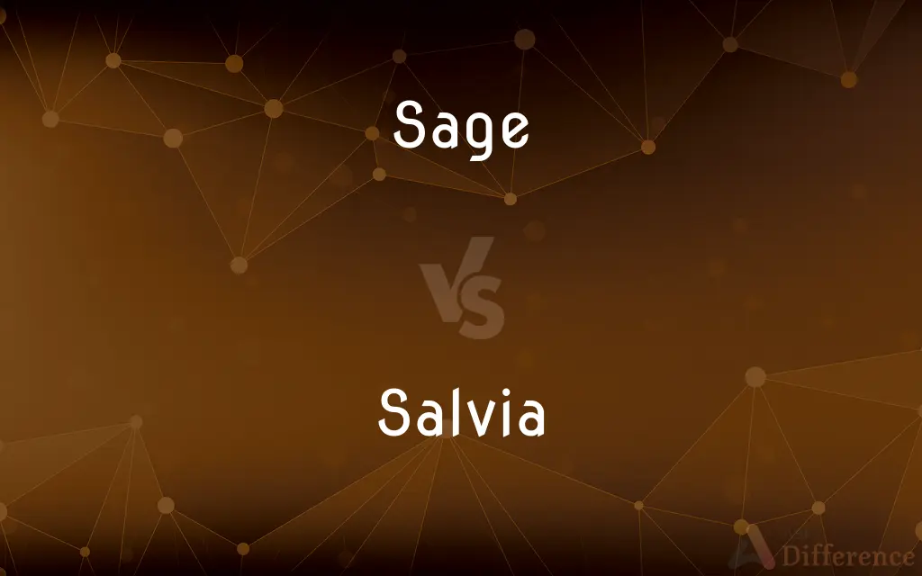 Sage vs. Salvia — What's the Difference?