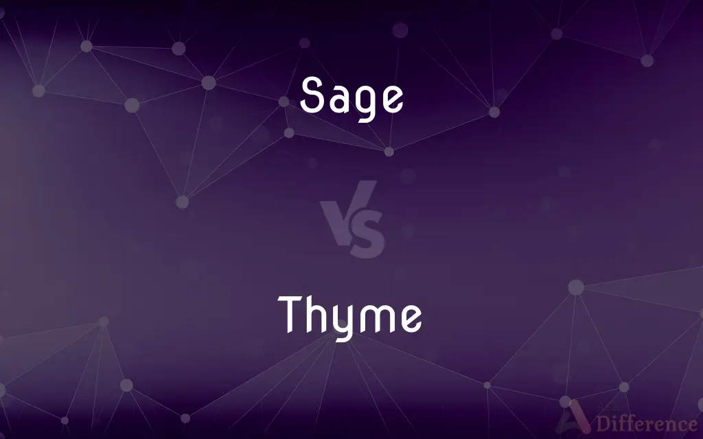 Sage vs. Thyme — What's the Difference?