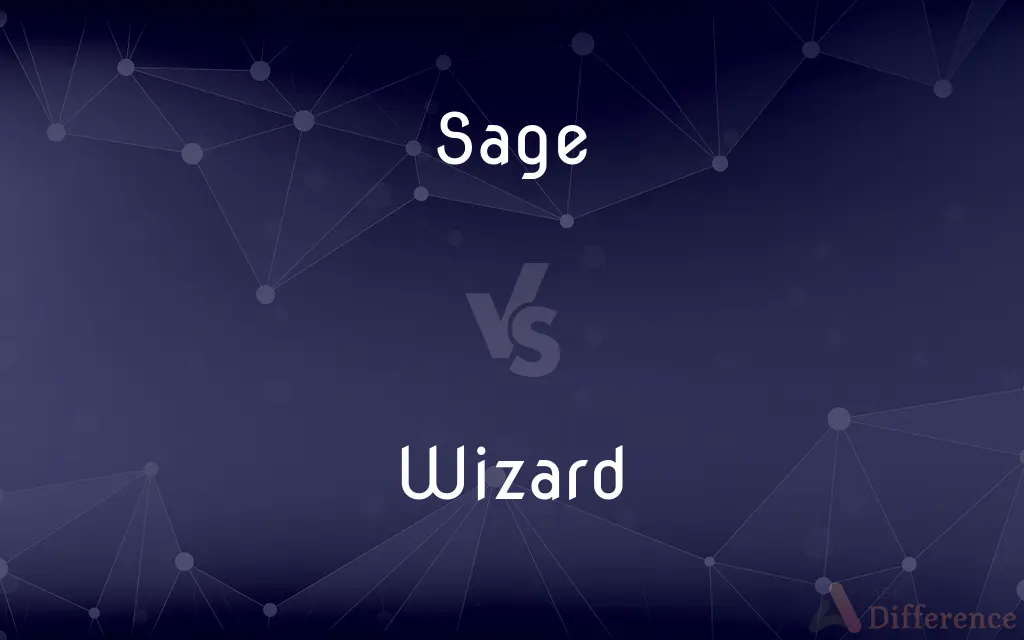 Sage vs. Wizard — What's the Difference?