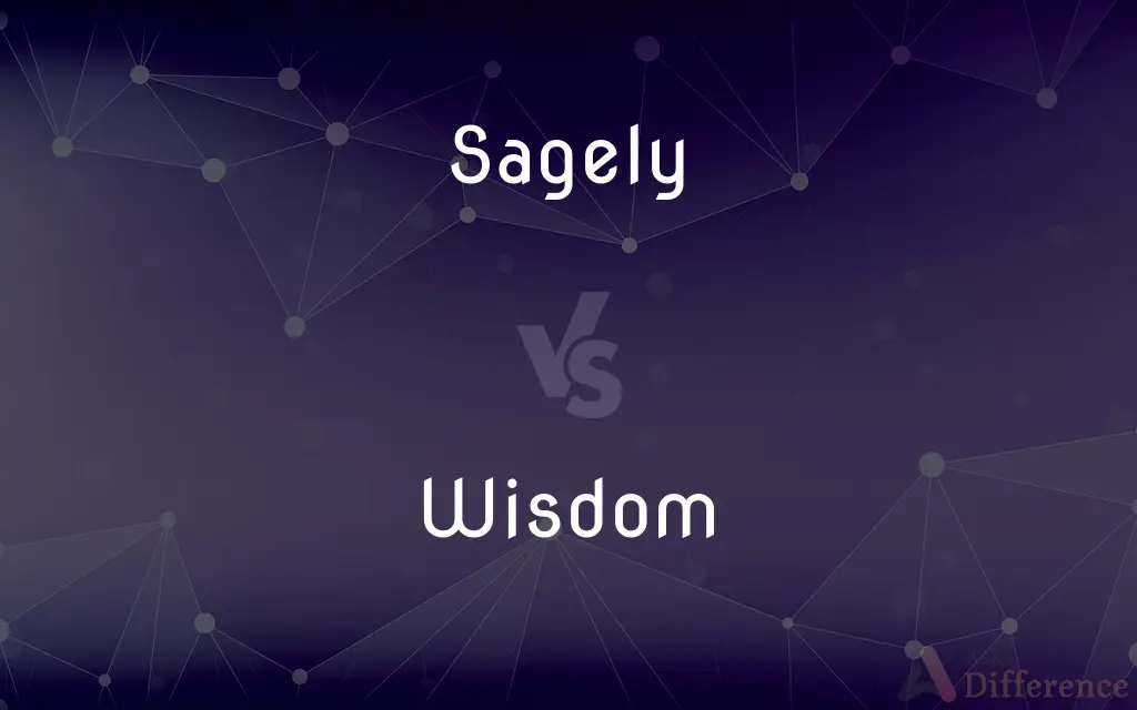 Sagely vs. Wisdom — What's the Difference?