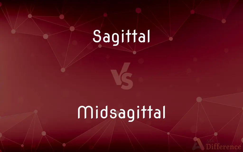 Sagittal vs. Midsagittal — What's the Difference?