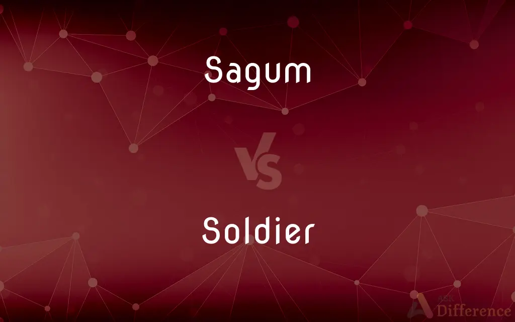 Sagum vs. Soldier — What's the Difference?