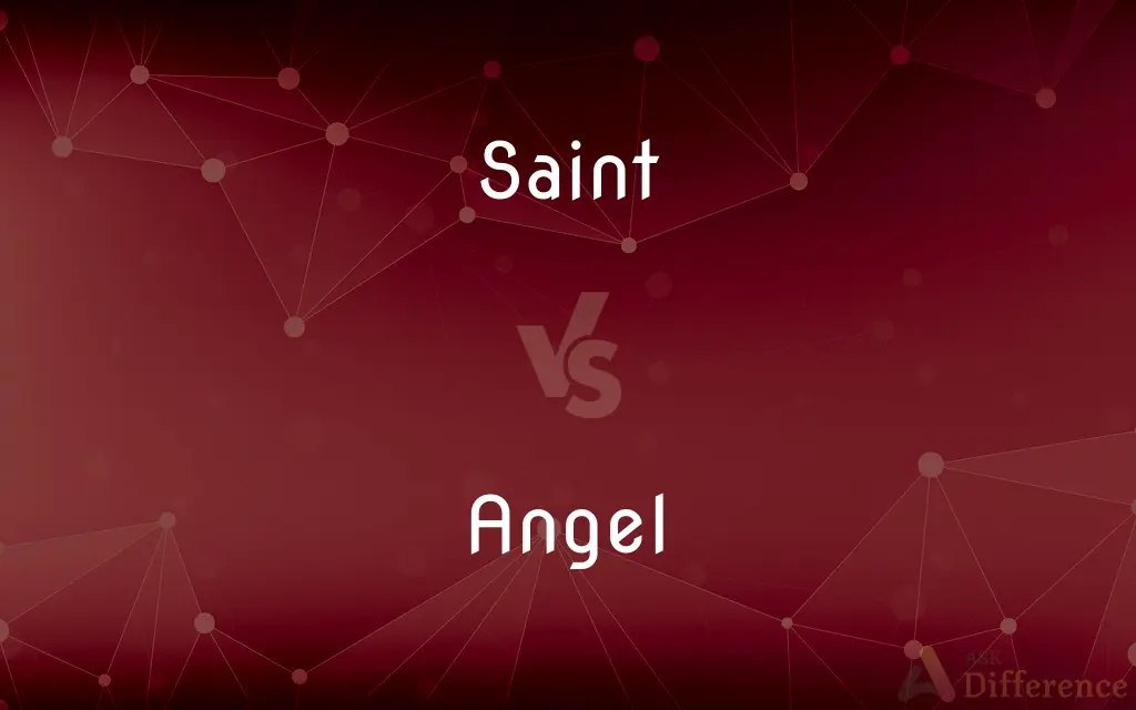 Saint vs. Angel — What's the Difference?