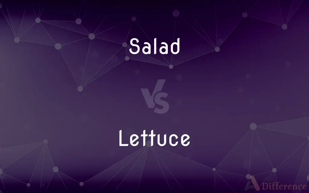 Salad vs. Lettuce — What's the Difference?