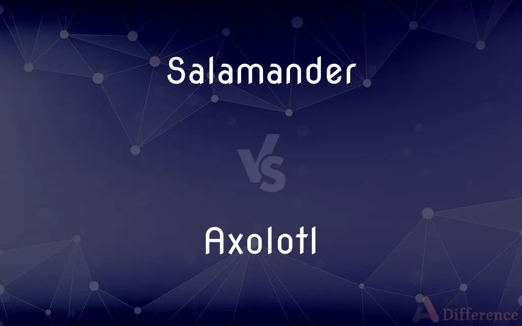 Salamander vs. Axolotl — What's the Difference?