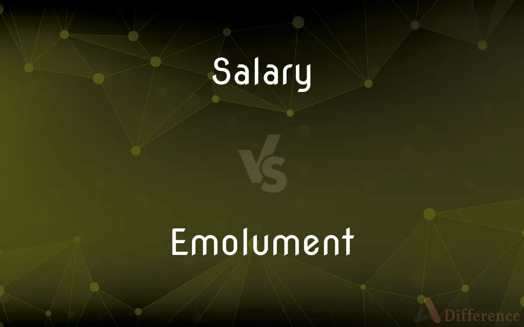 Salary vs. Emolument — What's the Difference?
