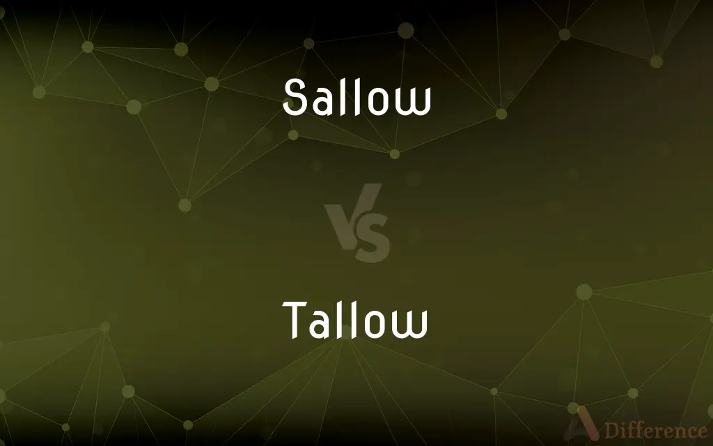 Sallow vs. Tallow — What's the Difference?