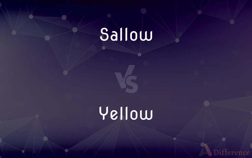 Sallow vs. Yellow — What's the Difference?