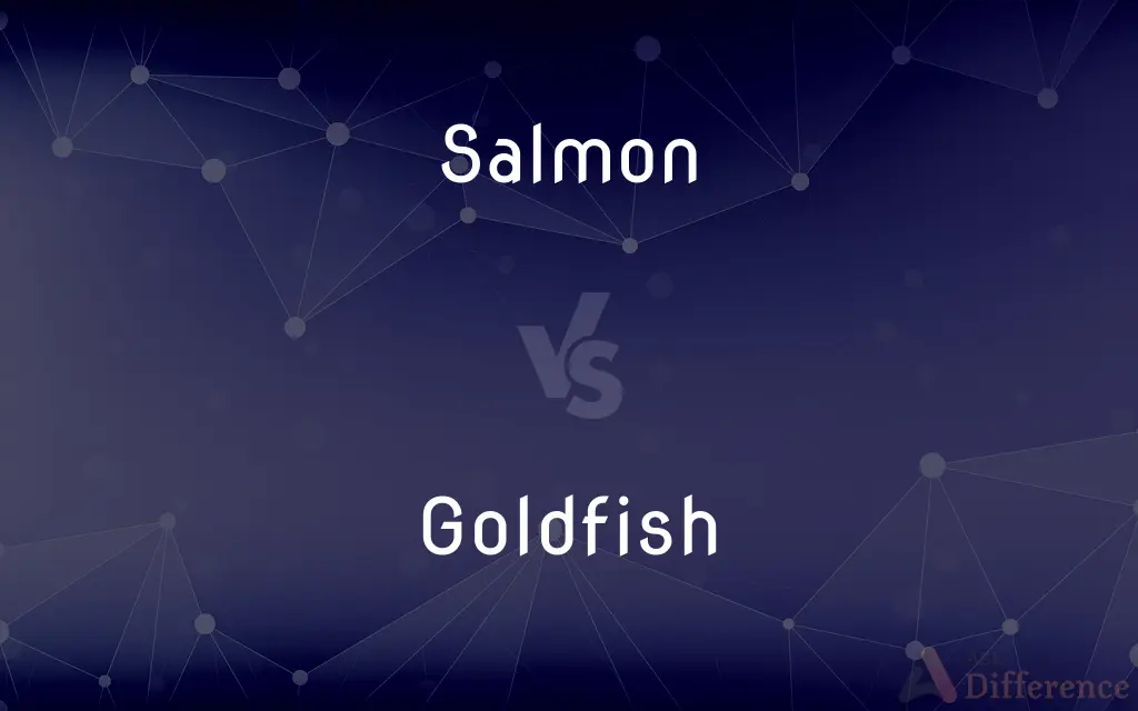 Salmon vs. Goldfish — What's the Difference?