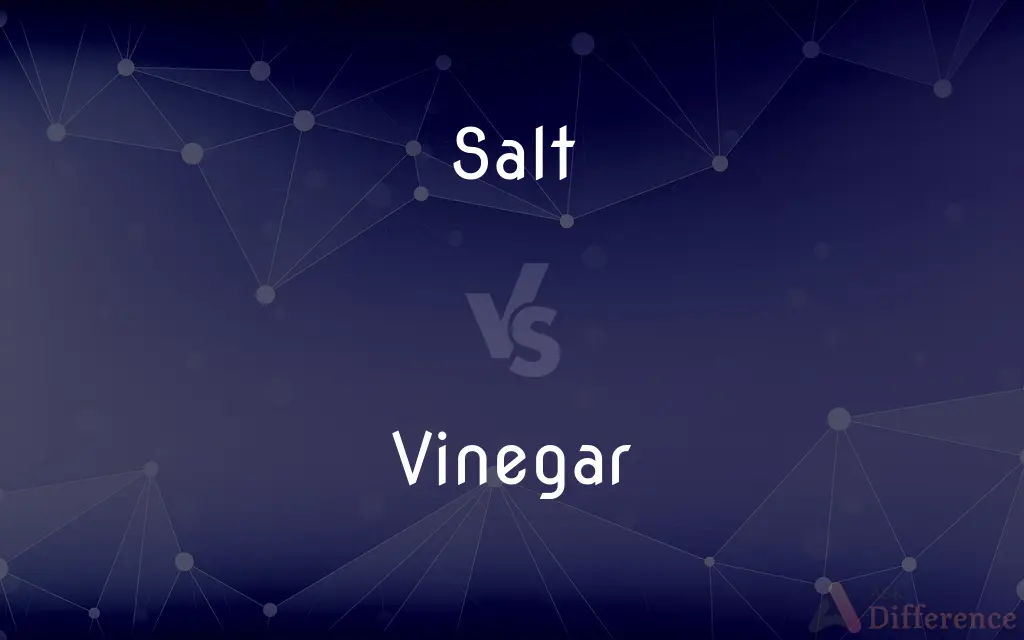 Salt vs. Vinegar — What's the Difference?