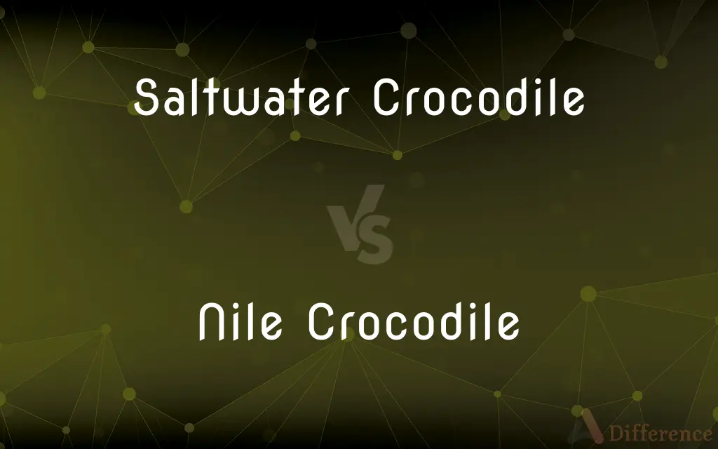 Saltwater Crocodile vs. Nile Crocodile — What's the Difference?