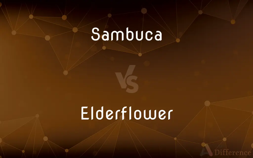 Sambuca vs. Elderflower — What's the Difference?
