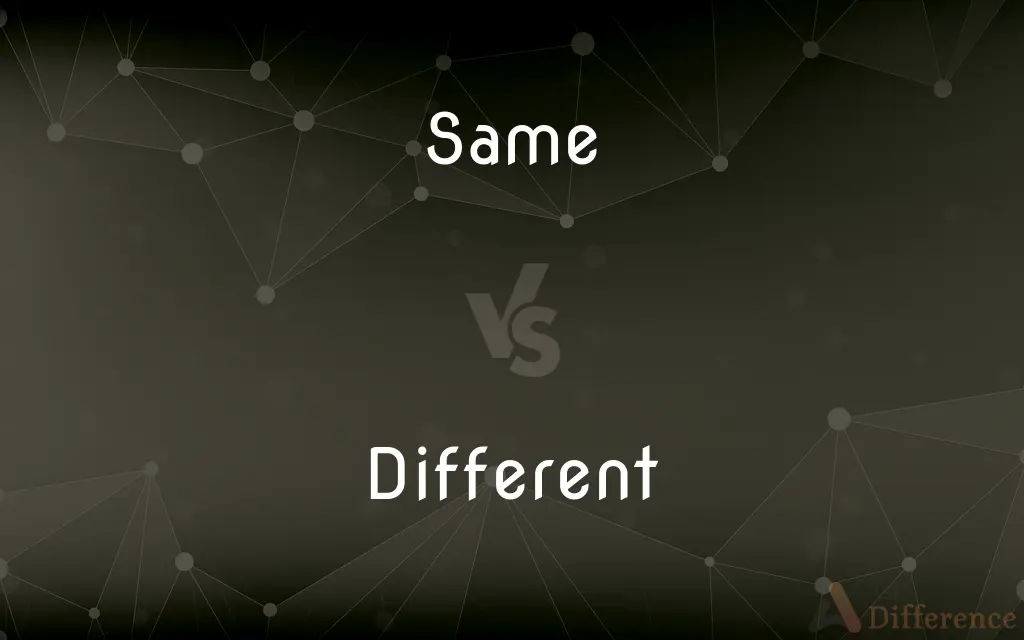 Same vs. Different — What's the Difference?