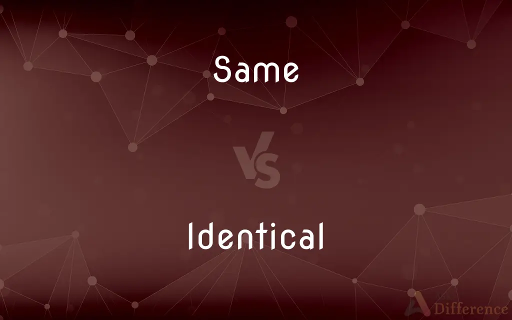 Same vs. Identical — What's the Difference?
