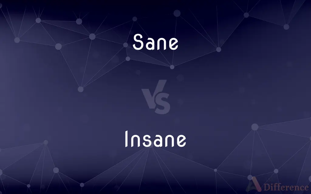 Sane vs. Insane — What's the Difference?