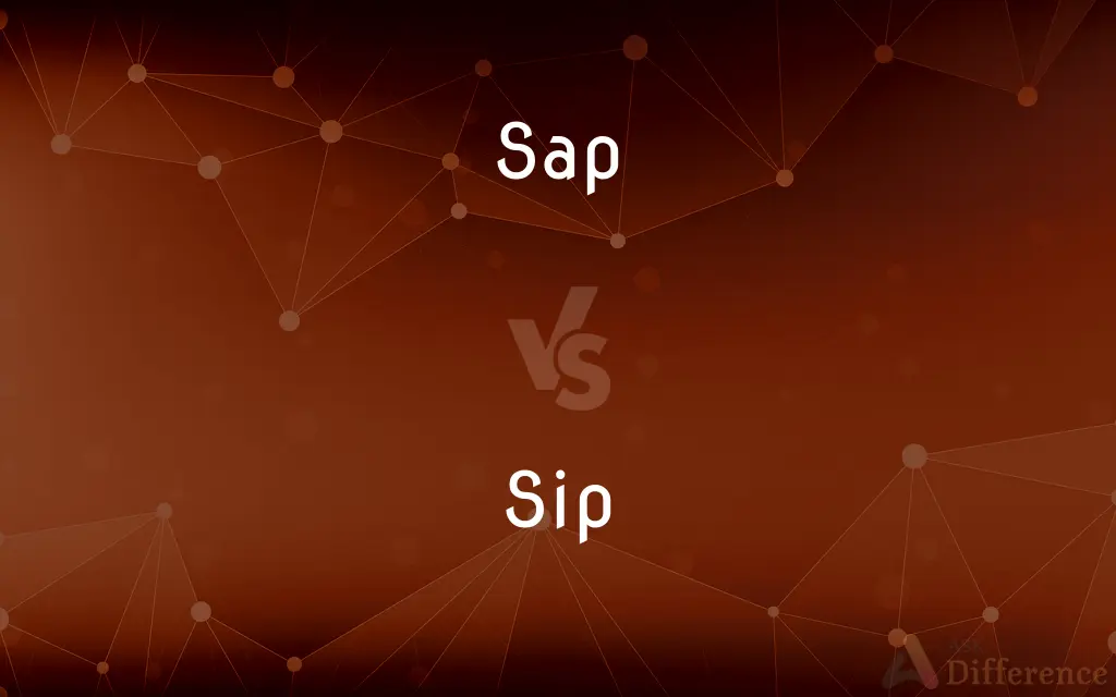 Sap vs. Sip — What's the Difference?
